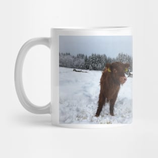 Scottish Highland Cattle Calf 1623 Mug